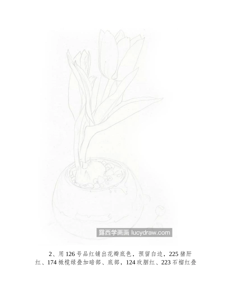 盆栽郁金香怎么画_详细的绘画过程是什么_彩铅画教程_第2页