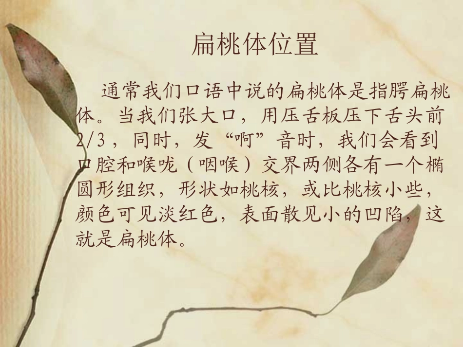 急性扁桃体炎_第3页