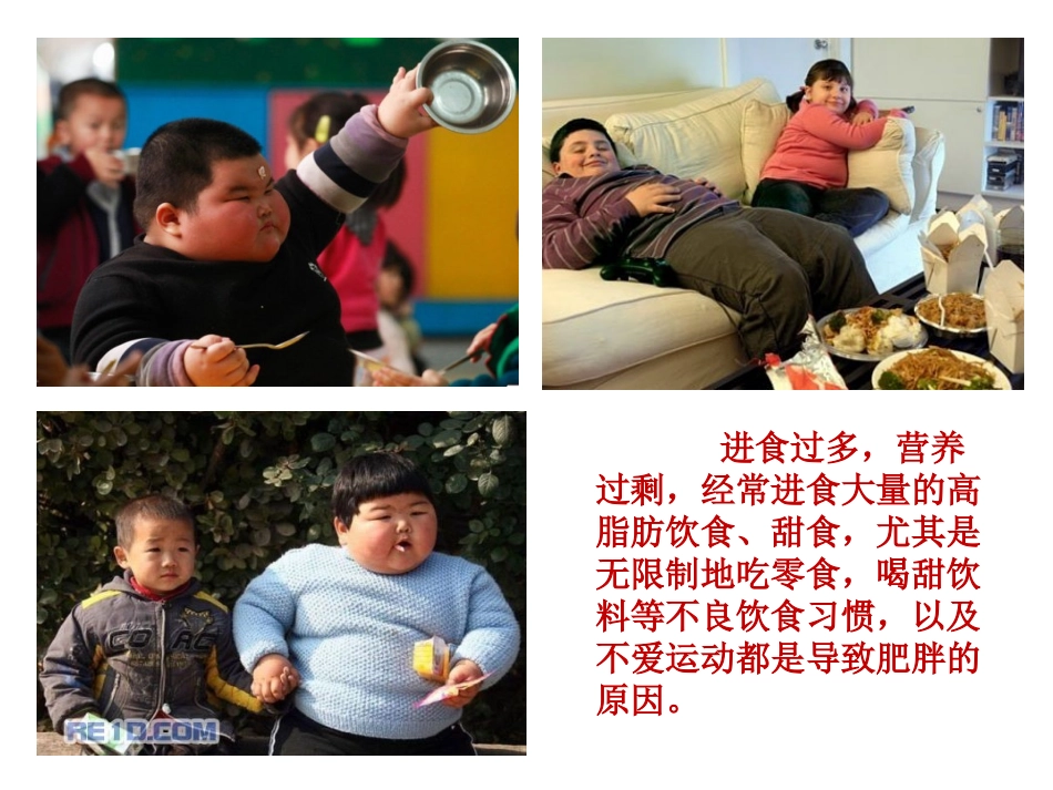 好习惯伴我健康成长资料_第3页