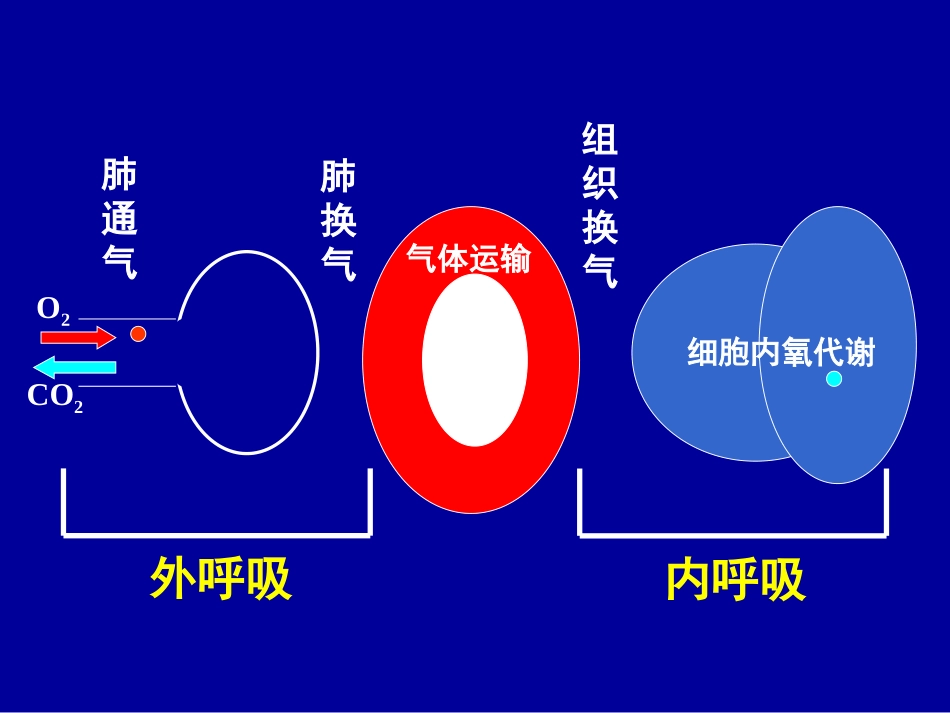 急性呼吸衰竭及抢救措施_第1页
