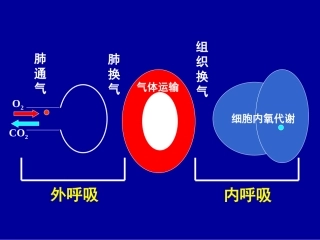 急性呼吸衰竭及抢救措施