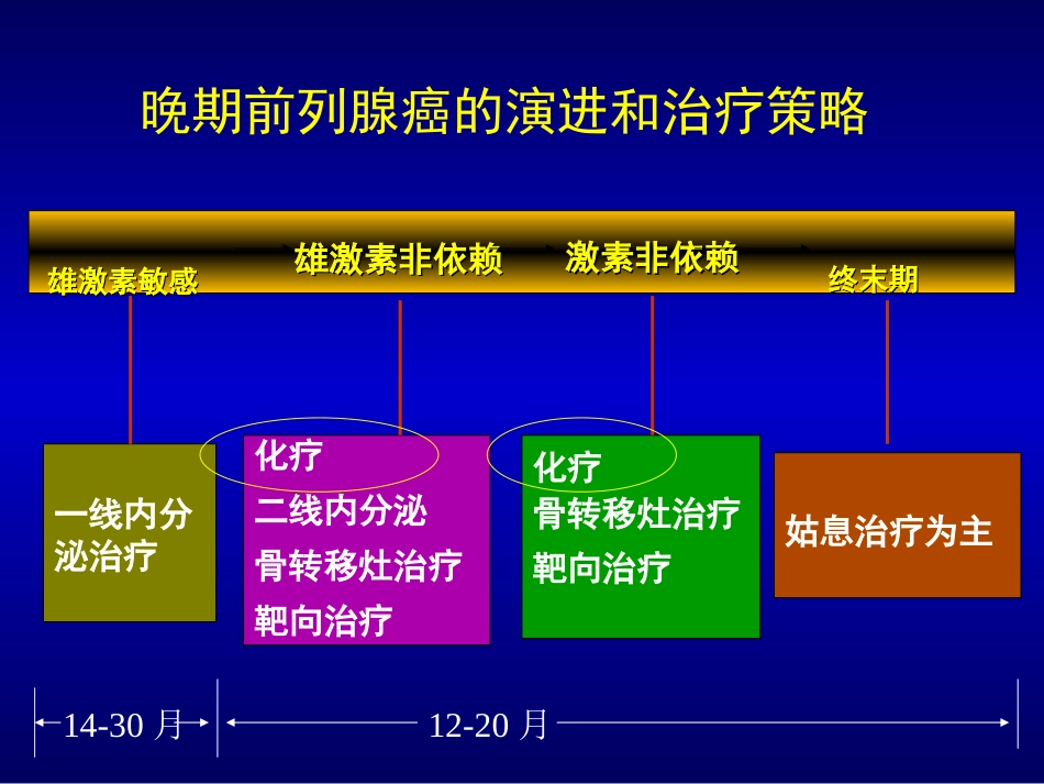 前列腺癌的化疗_第3页
