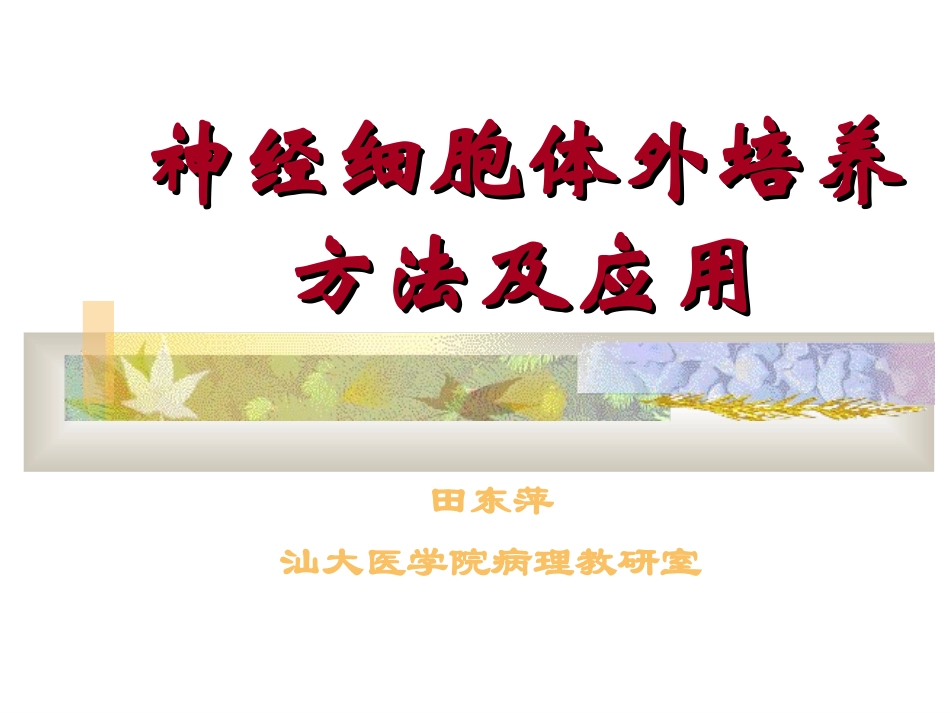 神经细胞体外培养方法及应用_第1页