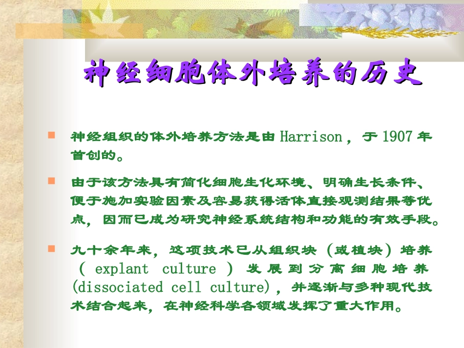 神经细胞体外培养方法及应用_第2页