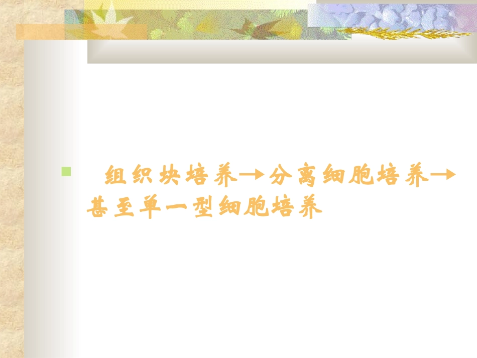 神经细胞体外培养方法及应用_第3页