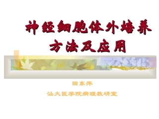 神经细胞体外培养方法及应用