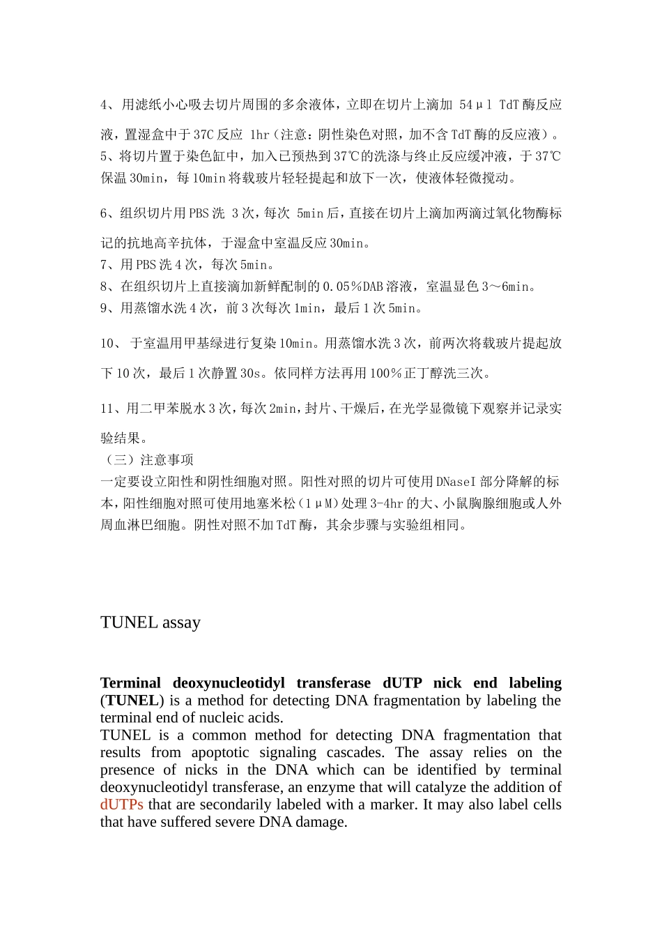 TUNEL染色检测细胞凋亡_第3页