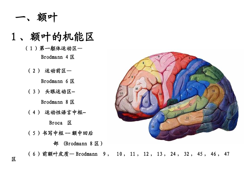 大脑额叶的功能概要_第2页