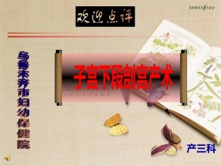 切开子宫膀胱腹膜反折