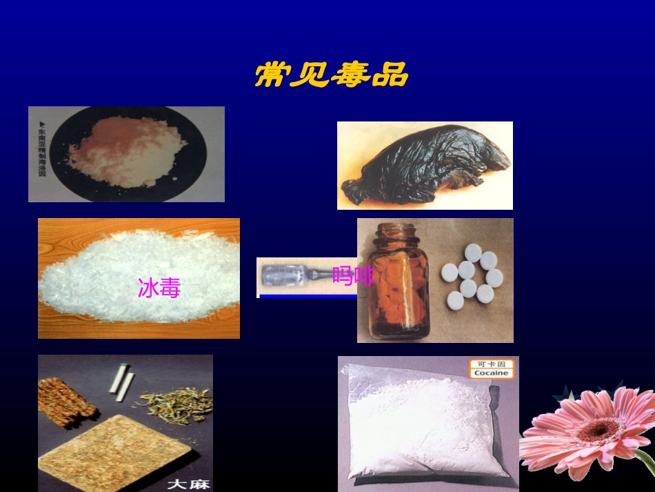 毒品中毒[1]_第3页