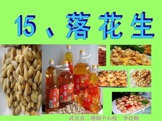 落花生第一课时教学课件(1)