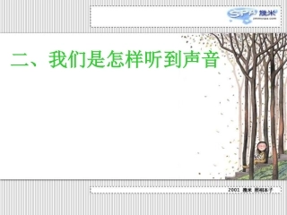 人耳怎样听到声音
