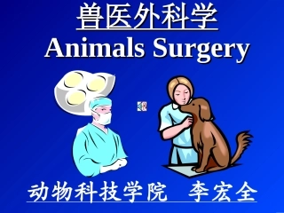 毛细血管前括约肌