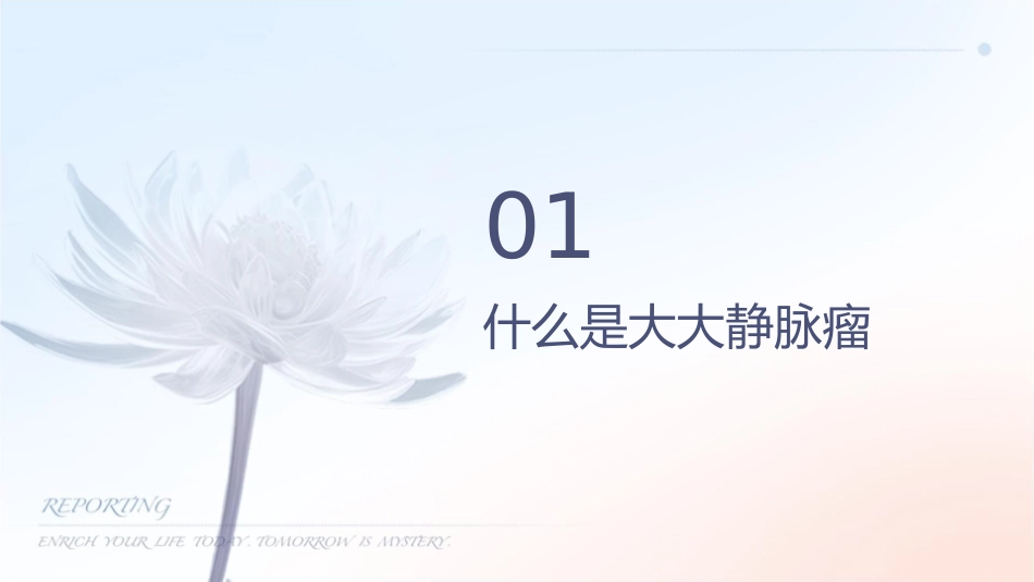 大脑大静脉瘤护理课件_第3页