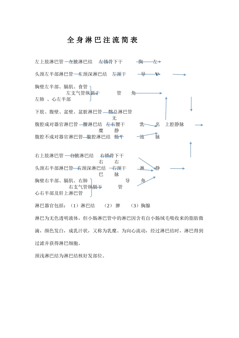 人体全身动脉图_第2页