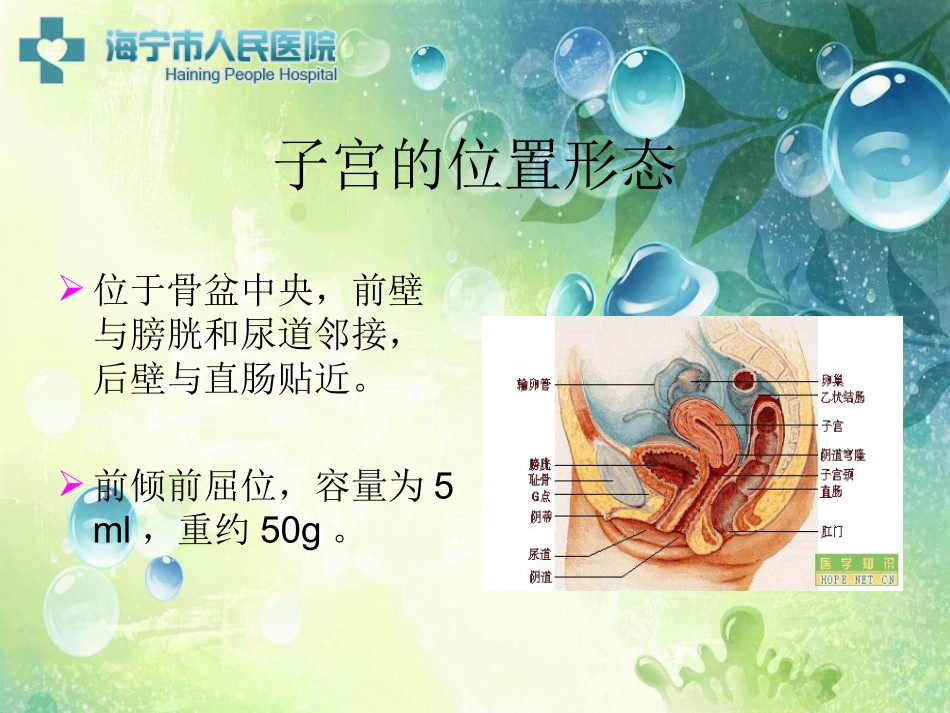 剖腹产手术配合_第2页