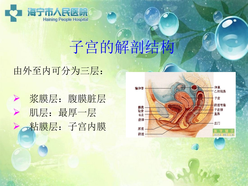 剖腹产手术配合_第3页