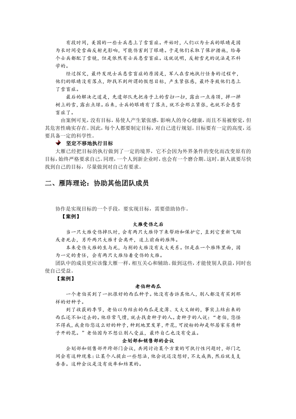 如何用大雁精神训练团队_第3页