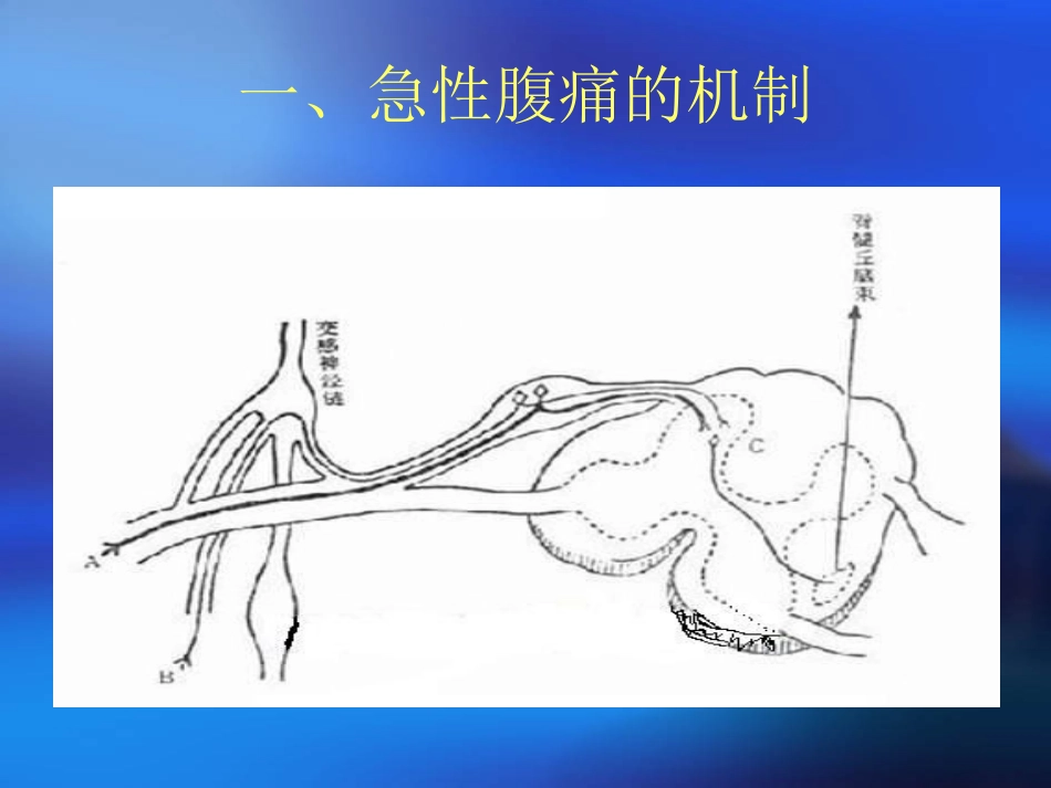 外-科-急-腹-症_第3页
