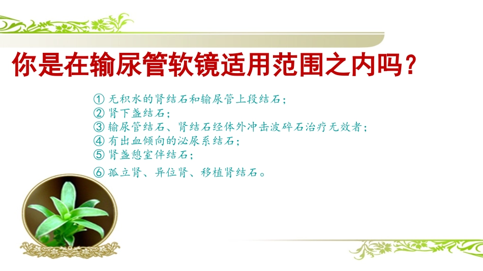 输尿管软镜健康宣教_第3页