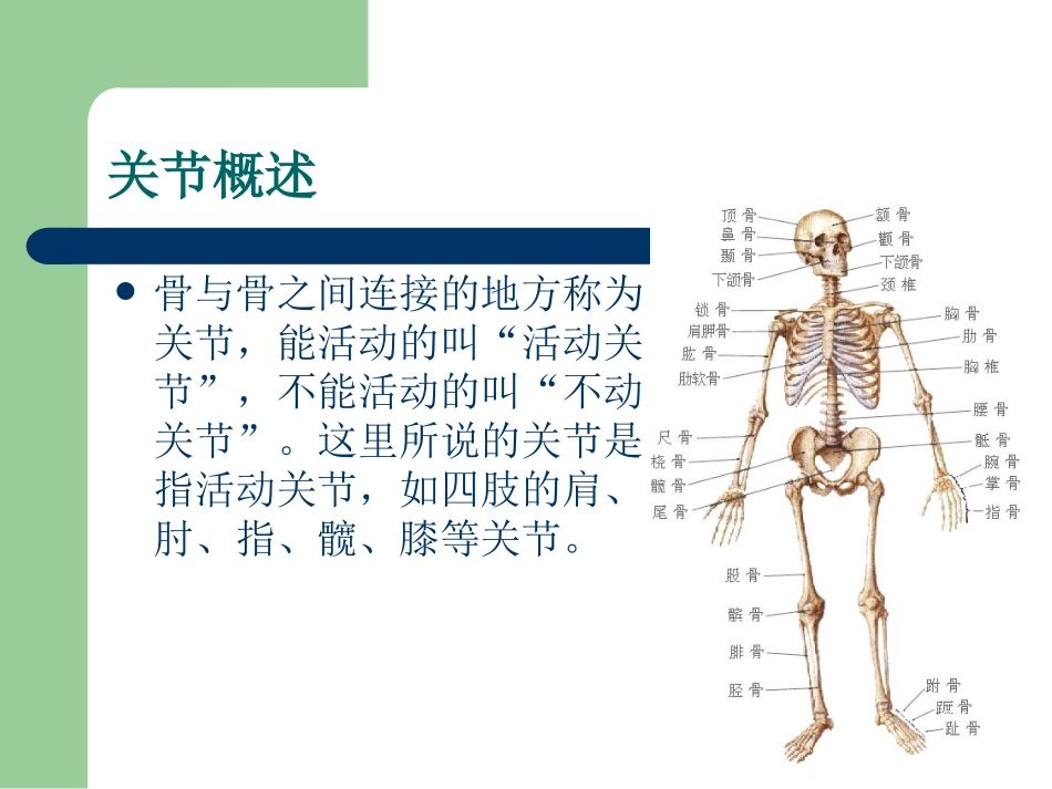 关节外科相关知识_第3页