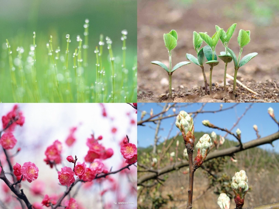 大自然的语言 (5)_第1页