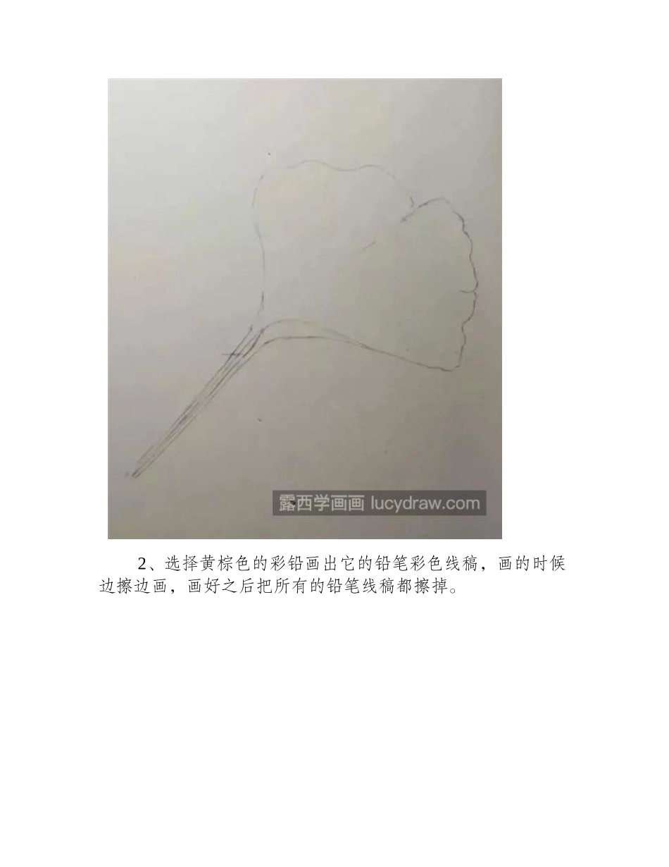 金黄色银杏叶的画法是什么_容易上手的彩铅银杏叶怎么画_彩铅画教程_第2页