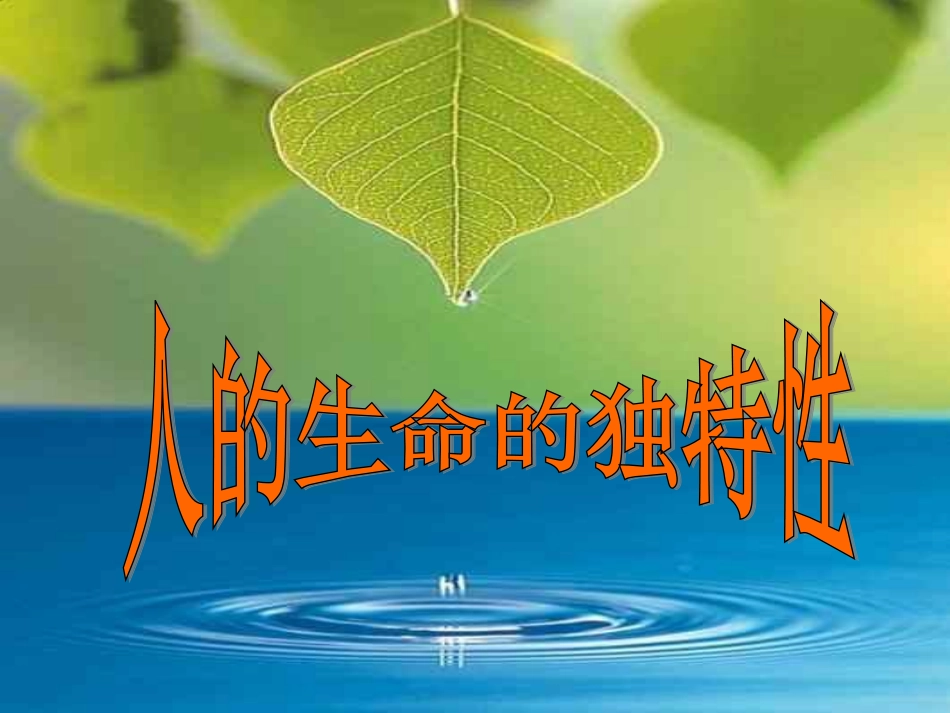人的生命的独特性_第1页