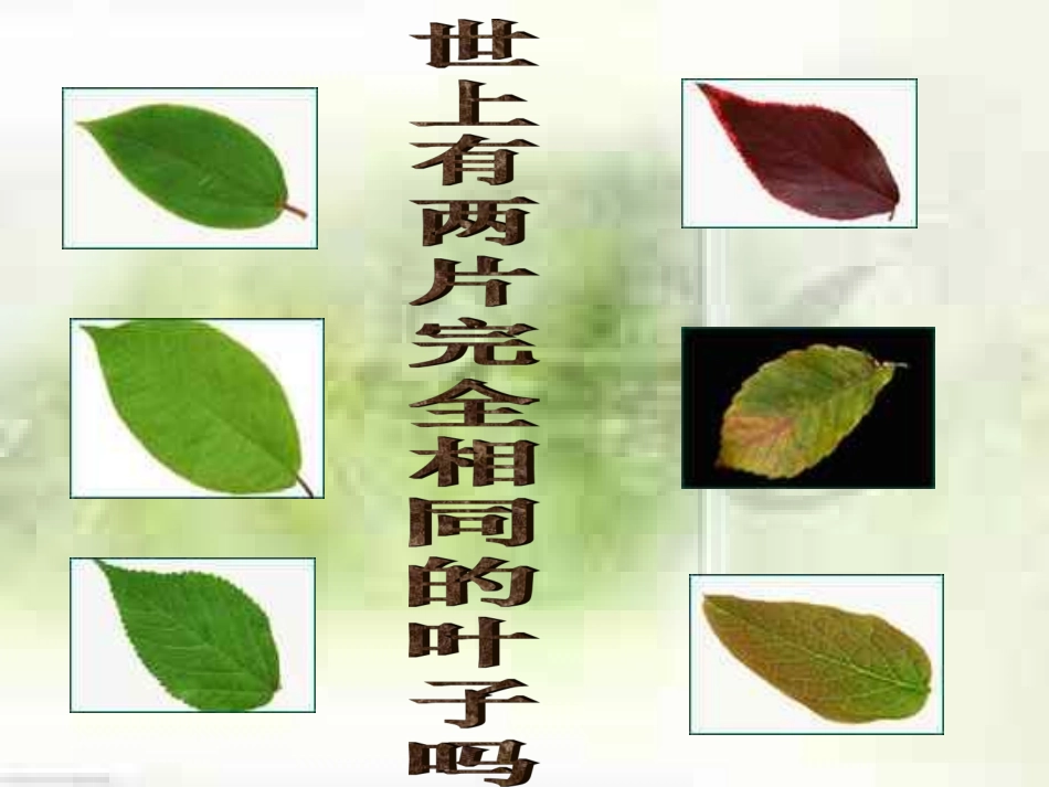 人的生命的独特性_第2页