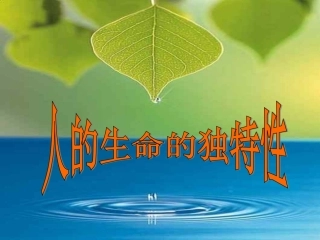 人的生命的独特性