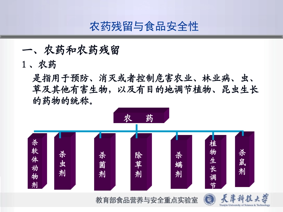 农兽药与食品安全_第2页