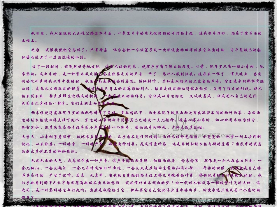 倾听生命行走的声音_第2页