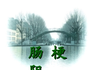 [普外]肠梗阻2
