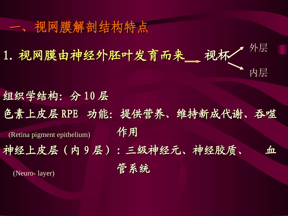 视网膜及视神经病_第2页