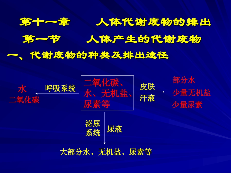 人体产生的代谢废物_第2页