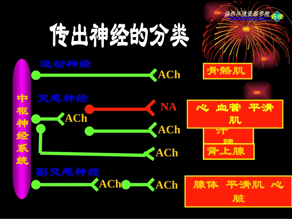 传出神经系统药理概论_第3页