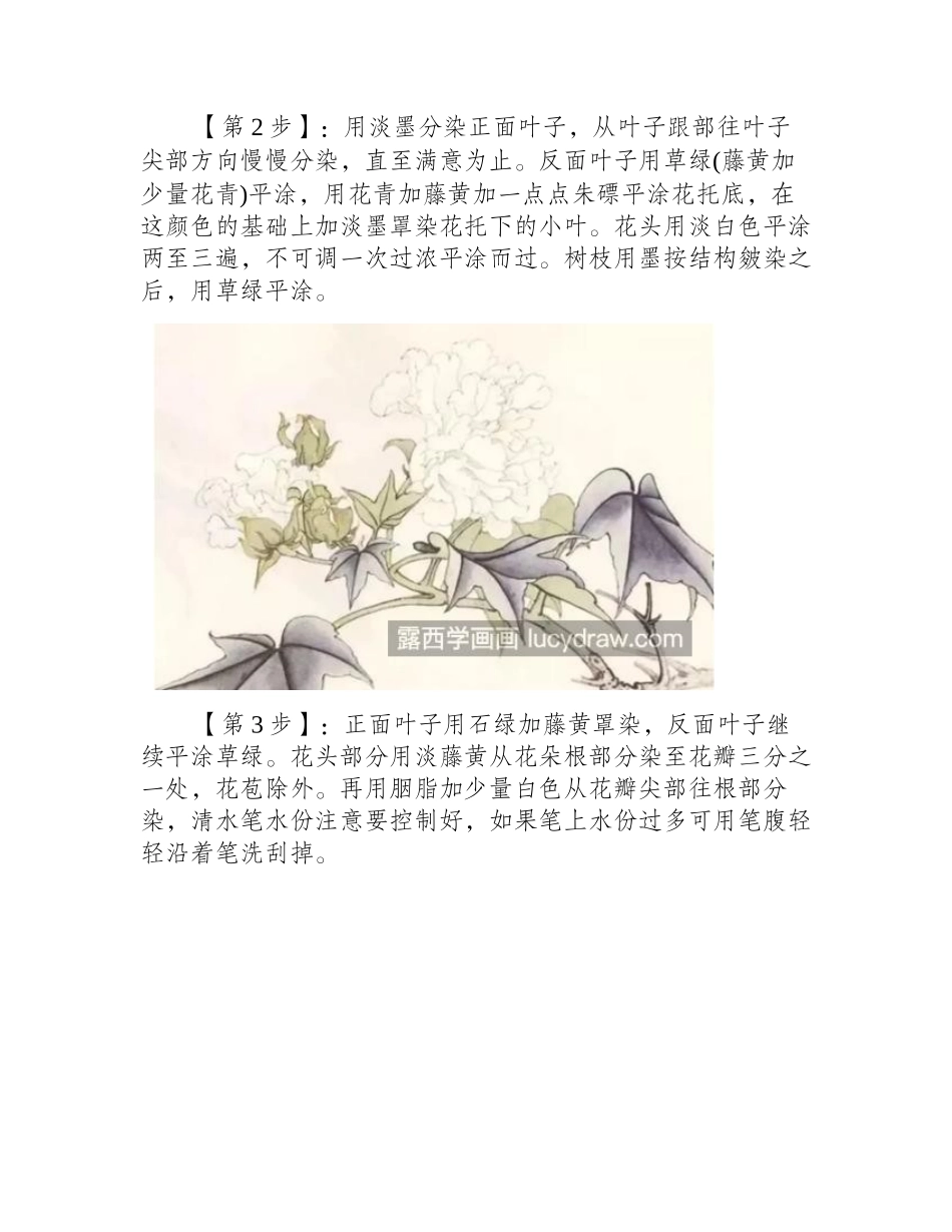 木芙蓉怎么画_详细的绘画步骤有哪些_工笔画教程_第2页