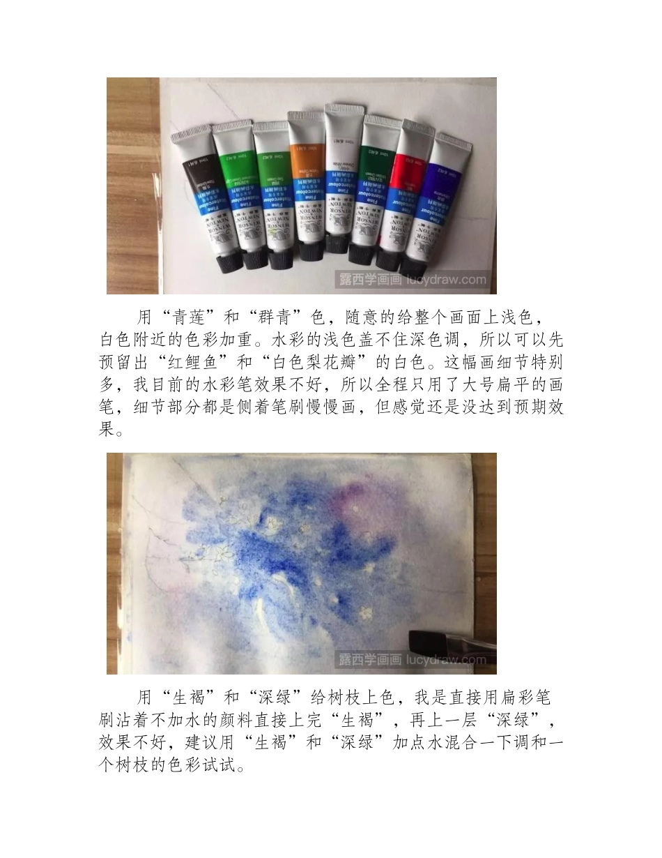 梨花树下红鲤鱼水彩画教程水彩画教程_第2页