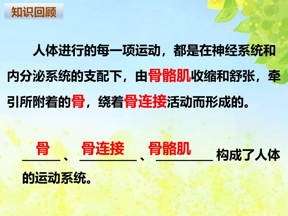 人体的运动(2)_第2页