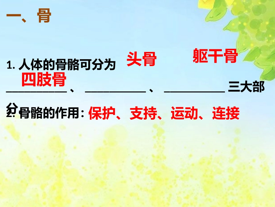 人体的运动(2)_第3页