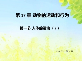 人体的运动(2)