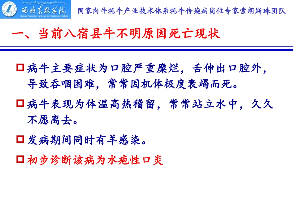 国家肉牛牦牛产业技术体系牦牛传染病岗位专家索朗斯珠团队_第2页