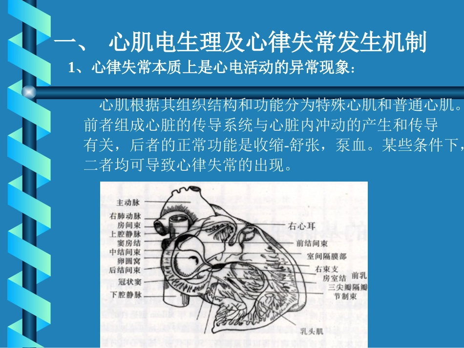 抗心律失常药BFB9D0C4C2C9CAA7B3A3D2A9_第2页