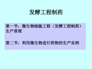 发酵工程技术制药