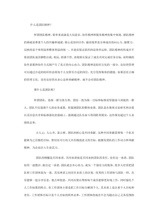 什么是团队精神