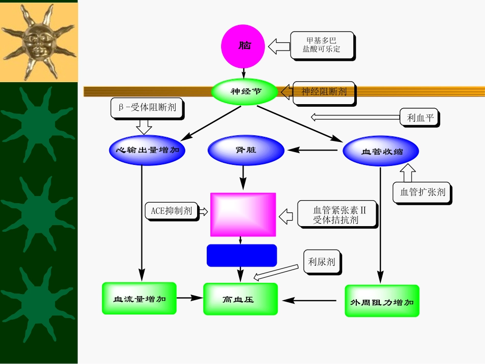 抗高血压药(尤)摘要_第2页