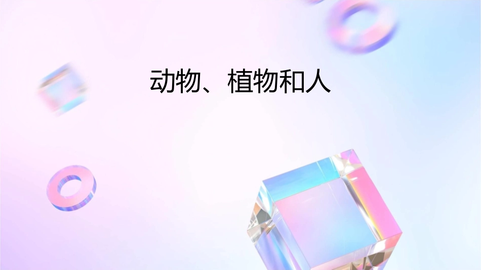动物植物和人课件_第1页