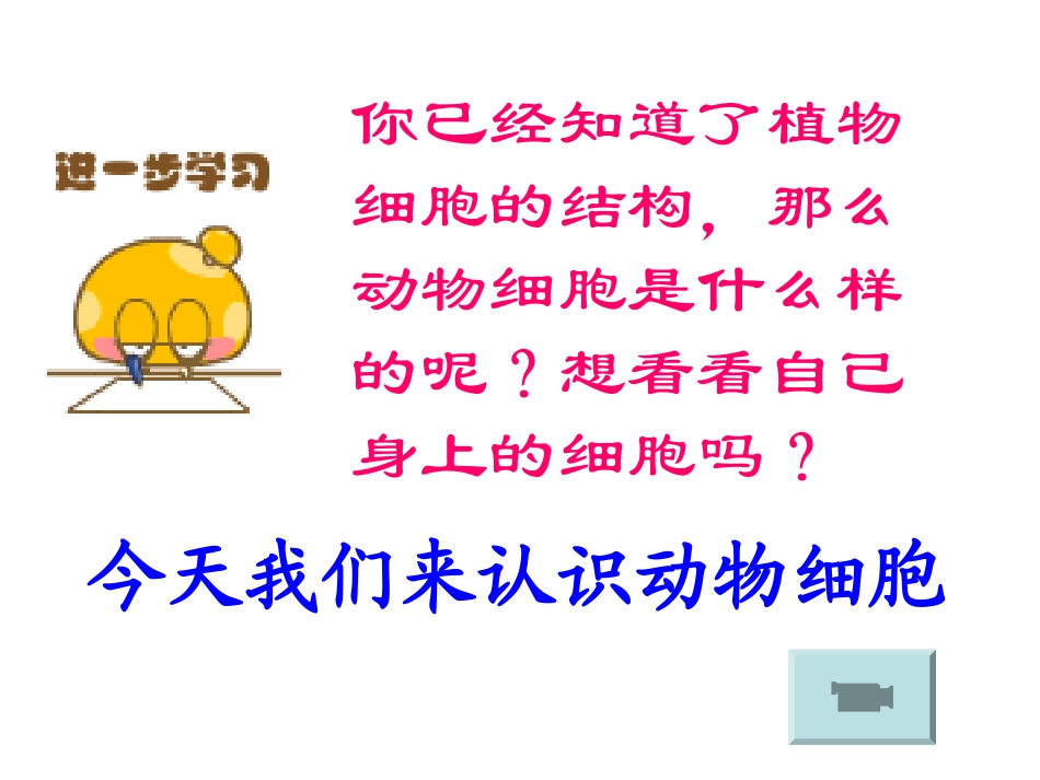 动物细胞装片制作-2_第1页