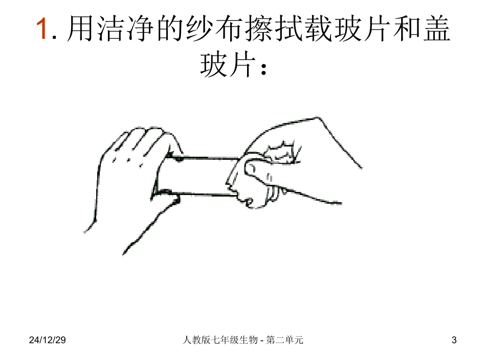 动物细胞装片制作-2_第3页