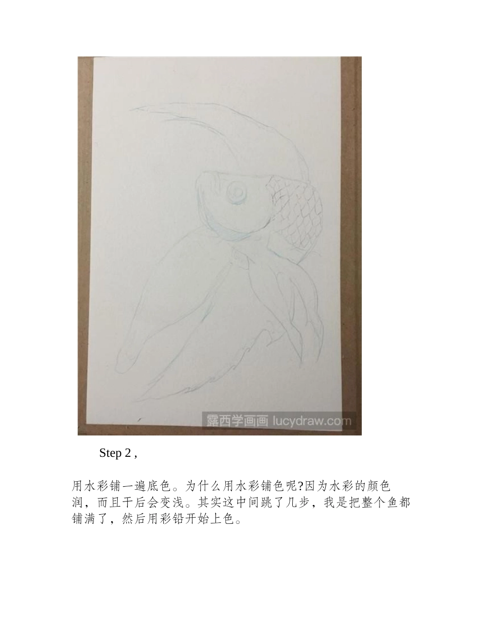 蓝色鱼儿水彩画教程水彩画教程_第2页